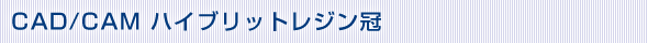 CAD/CAMハイブリッドレジン冠